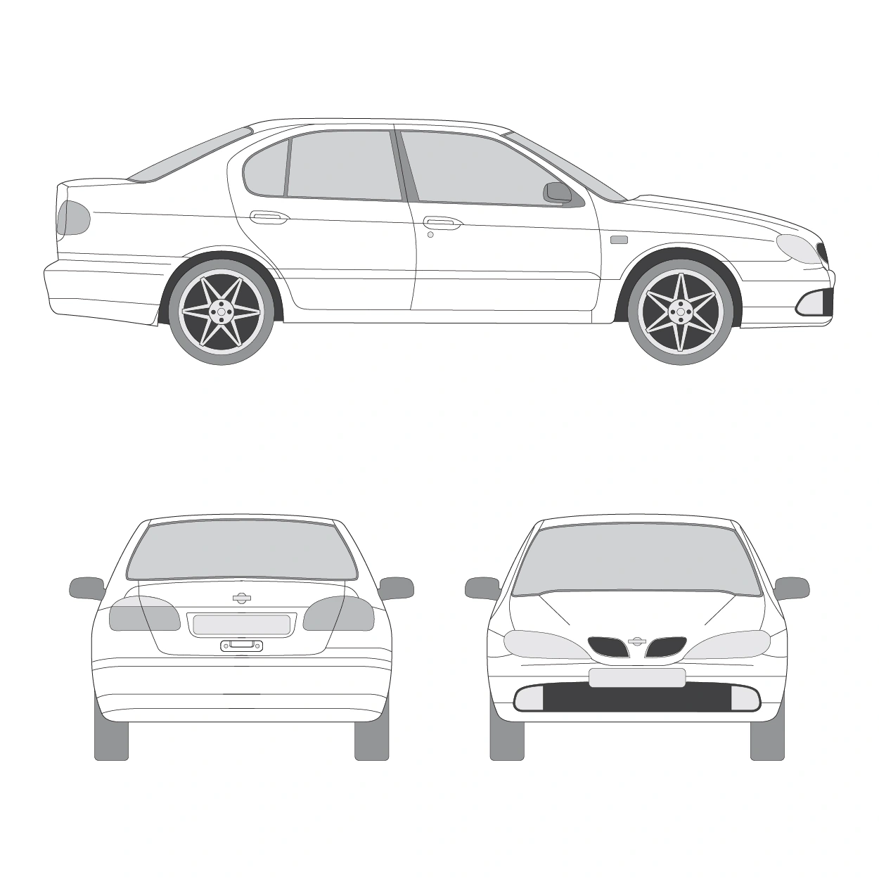PRIMERA (P12)