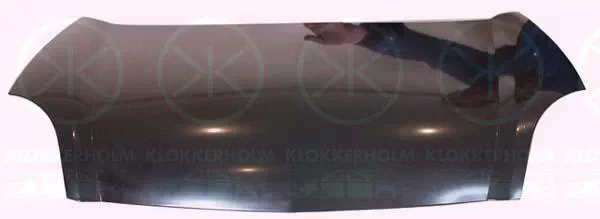 RENAULT KANGOO (KC0/1_)