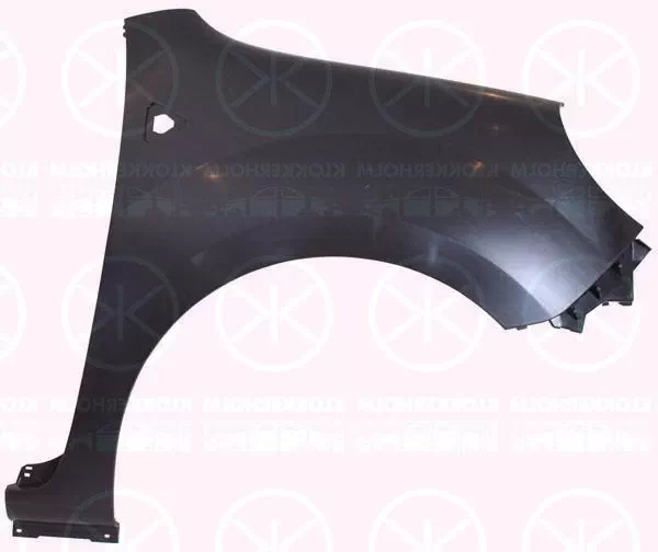 RENAULT KANGOO / GRAND KANGOO (KW0/1_)